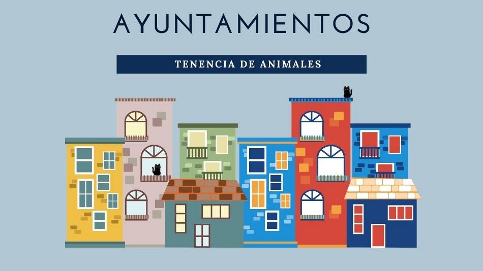 El Síndic urge al Ayuntamiento de València a resolver las molestias que generan a todo un vecindario los 40 gatos que viven en un piso