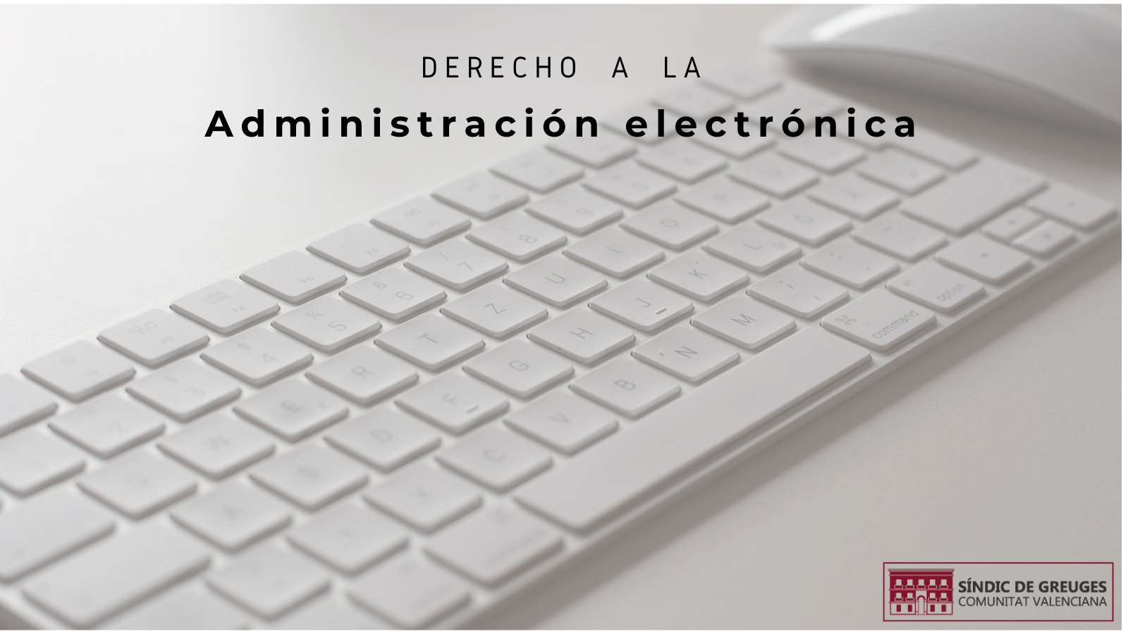 El Síndic insta al Ayuntamiento de Mutxamel a garantizar el acceso electrónico completo a los expedientes administrativos