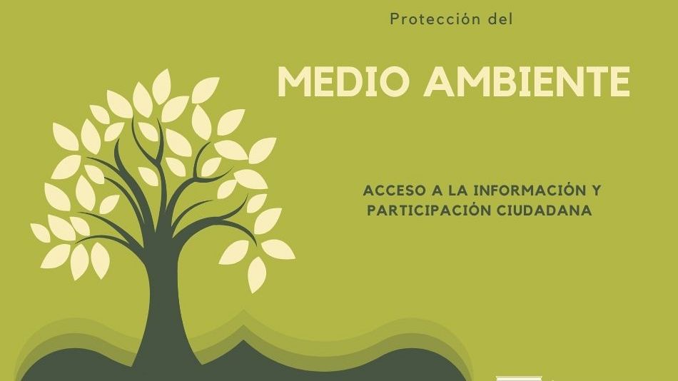 Democratizar la protección al medio ambiente: acceso a la información y participación ciudadana