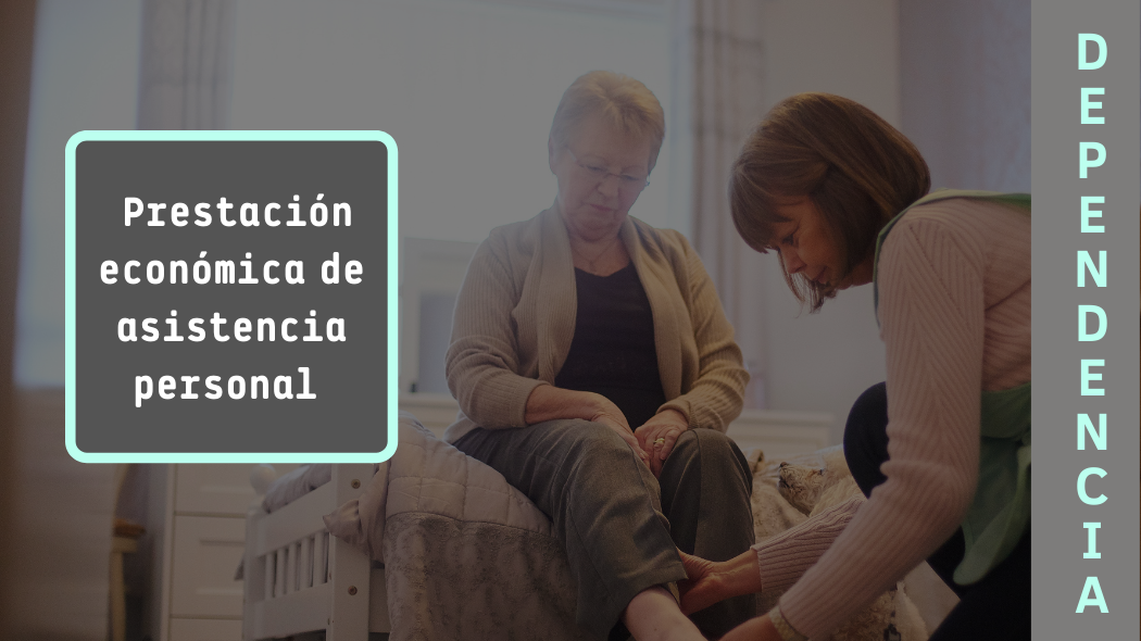 El Síndic insta a mejorar la difusión y el régimen de compatibilidades del «Asistente Personal» en el sistema de la Dependencia