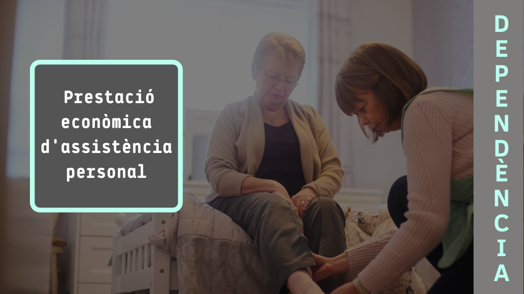 El Síndic insta a millorar la difusió i el règim de compatibilitats de «l’assistent personal» en el sistema de la dependència