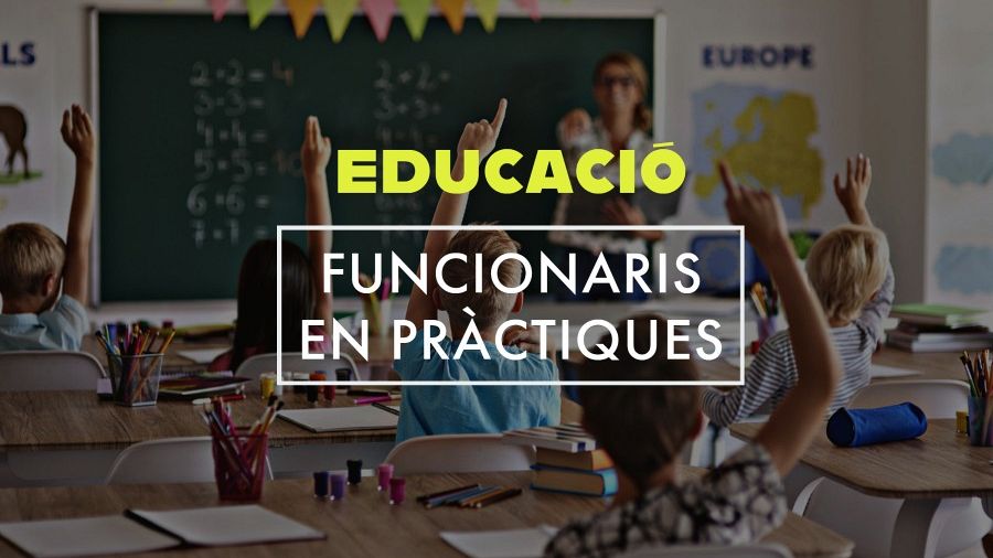 El Síndic urgeix a elaborar la norma perquè funcionaris en pràctiques puguen cobrar els triennis i sexennis reconeguts