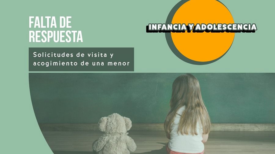 El Síndic urge a la Conselleria de Servicios Sociales a resolver las solicitudes de visitas y acogimiento de una menor tutelada