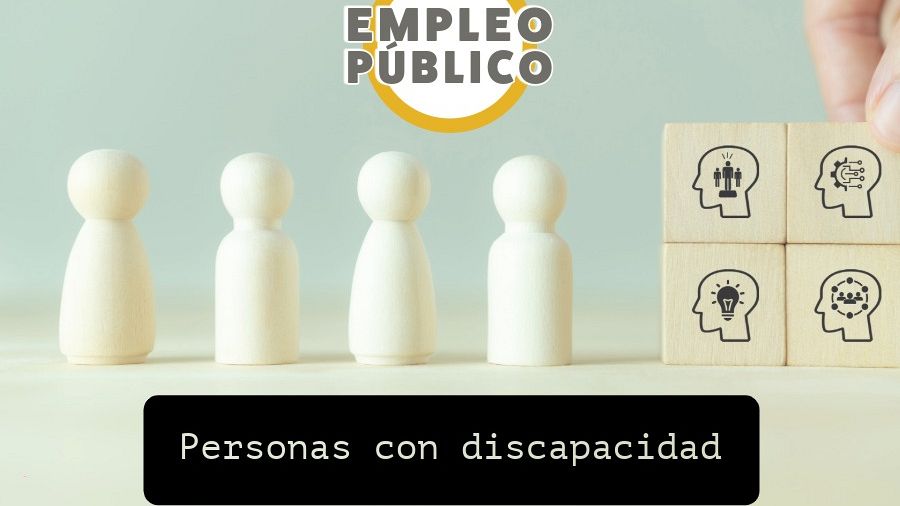 El Síndic pide recuperar las convocatorias específicas para el acceso al empleo público de personas con discapacidad intelectual