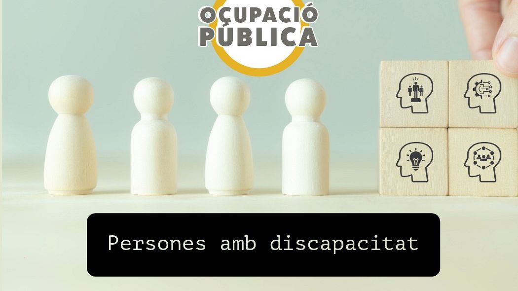 El Síndic demana recuperar les convocatòries específiques per a l’accés a l’ocupació pública de persones amb discapacitat intel·lectual