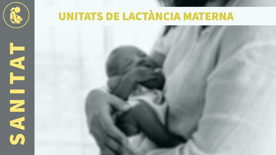 El Síndic insta a garantir la igualtat en l’accés a les unitats de lactància materna