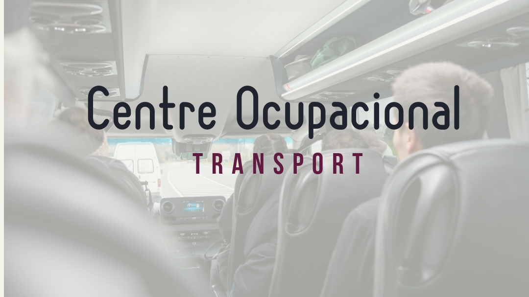 El Síndic urgeix una solució al problema de transport dels usuaris del Centre Ocupacional Reina Sofia de Massamagrell