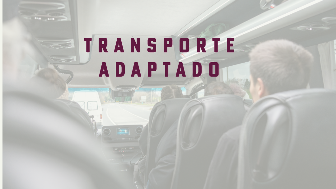 El Síndic urge a Castellón a reanudar el transporte adaptado para que una persona con autismo pueda acudir a su centro de educación especial