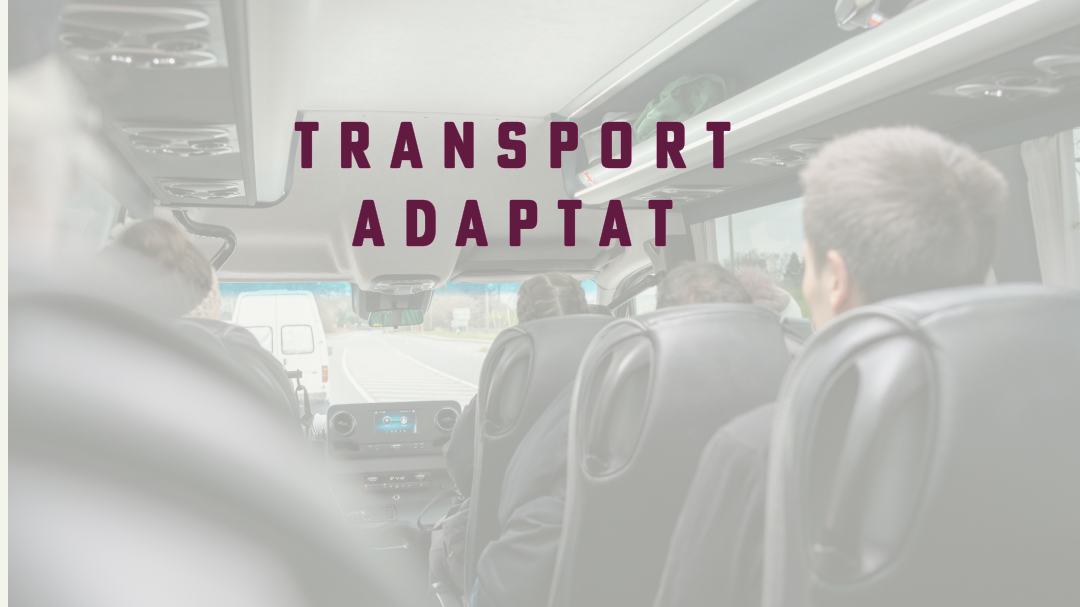 El Síndic insta amb urgència l’Ajuntament de Castelló de la Plana a reprendre el transport adaptat per a acudir a un centre d’educació especial