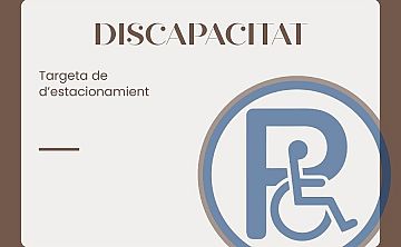 El Síndic reclama amb urgència a l’Ajuntament d’Alacant que resolga sobre una targeta d’estacionament per a un menor amb discapacitat