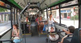 Recomanació perquè el transport públic arribe a una pedania d’Elx