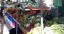 Aceptada la recomendación del Síndic sobre las molestias generadas por el mercadillo municipal de Torrevieja