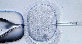 El Síndic pide a Sanidad que atienda la actual demanda de tratamientos de reproducción asistida