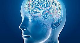 Dia Mundial de la Salut Mental 10 d’octubre