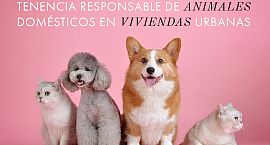 El Campello se compromete con el Síndic a solucionar las molestias por la tenencia de animales en una comunidad de vecinos