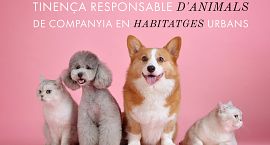 El Campello es compromet amb el Síndic a solucionar les molèsties per la tinença d’animals en una comunitat de veïns