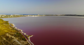 El Síndic insta al Ayuntamiento de Torrevieja a limpiar y señalizar el perímetro de la Laguna Rosa