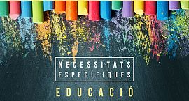 El Síndic demana accelerar la substitució de professionals que atenen alumnes amb necessitats especials