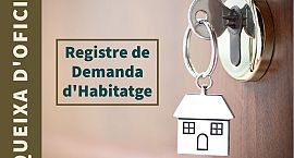 Luna demana a Habitatge que faça automàtica l’ajuda al lloguer quan no puga concedir un pis públic als col·lectius més vulnerables