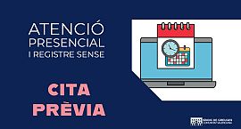 El Síndic insta l’Ajuntament d’Alacant a posar fi a la cita prèvia obligatòria i a la bretxa digital