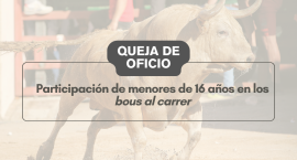 El Síndic investiga a la Administración por los accidentes de menores en festejos taurinos