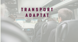 El Síndic insta amb urgència l’Ajuntament de Castelló de la Plana a reprendre el transport adaptat per a acudir a un centre d’educació especial