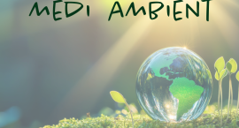 El Síndic insta a solucionar les molèsties veïnals per males olors procedents d’una activitat industrial a Albaida