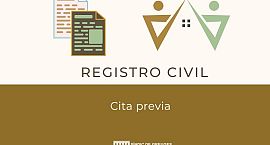 El Síndic pide mejoras urgentes en el sistema de cita previa del Registro Civil de Alicante