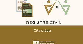 El Síndic demana millores urgents en el sistema de cita prèvia del Registre Civil d’Alacant