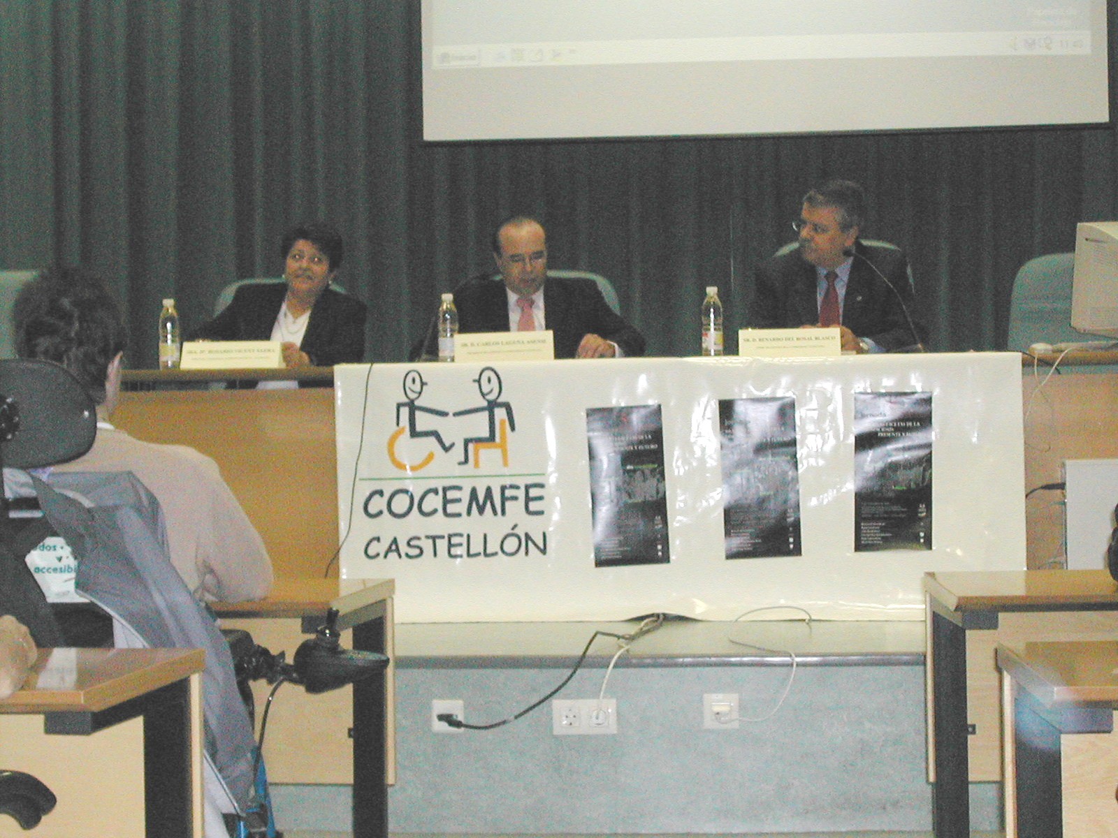 V Jornadas de COCEMFE en Castellón