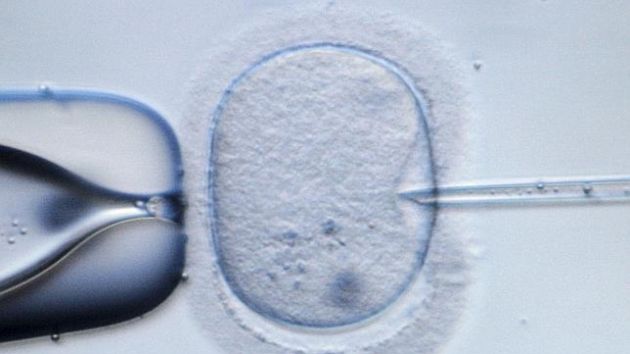 El Síndic pide a Sanidad que atienda la actual demanda de tratamientos de reproducción asistida