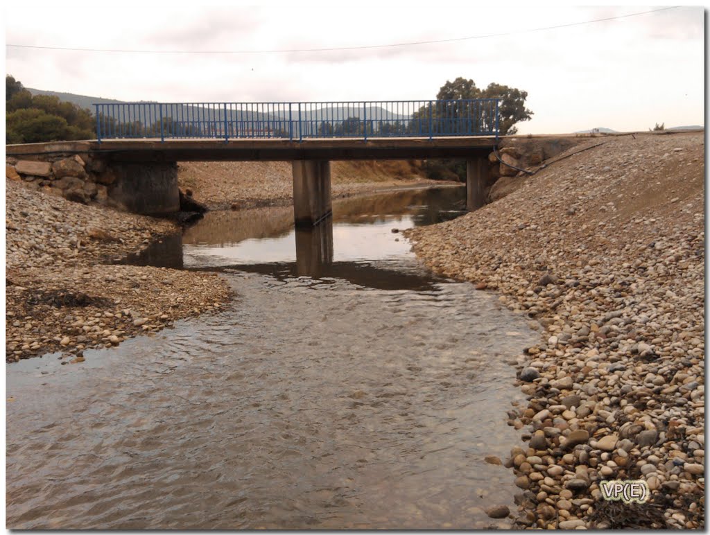 El Síndic insta al Ayuntamiento de Oropesa del Mar a limpiar el cauce del rio Chinchilla