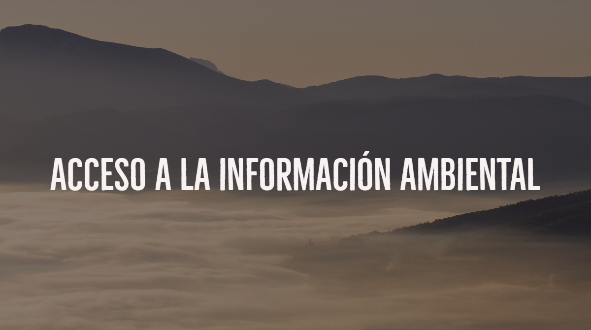 Instamos a que den información ambiental sobre un proyecto desarrollado en la Albufera