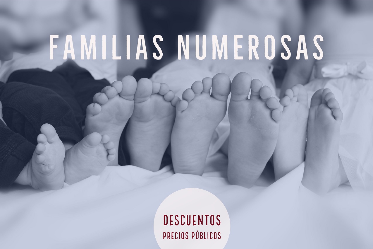 Pedimos al Ayuntamiento de Valencia que bonifique las tasas para familias numerosas