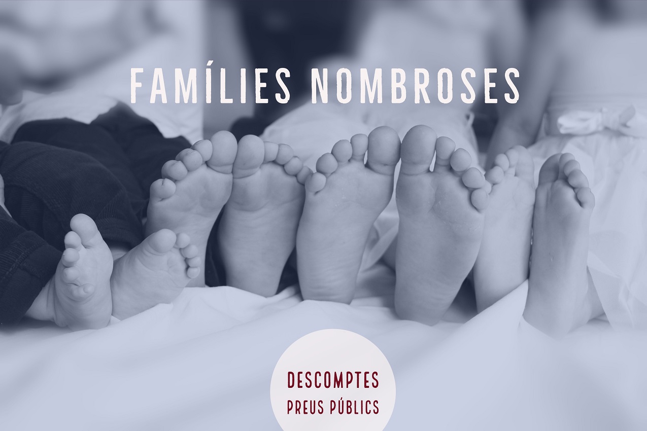 Demanem a l’Ajuntament de València que bonifique les taxes per a famílies nombroses