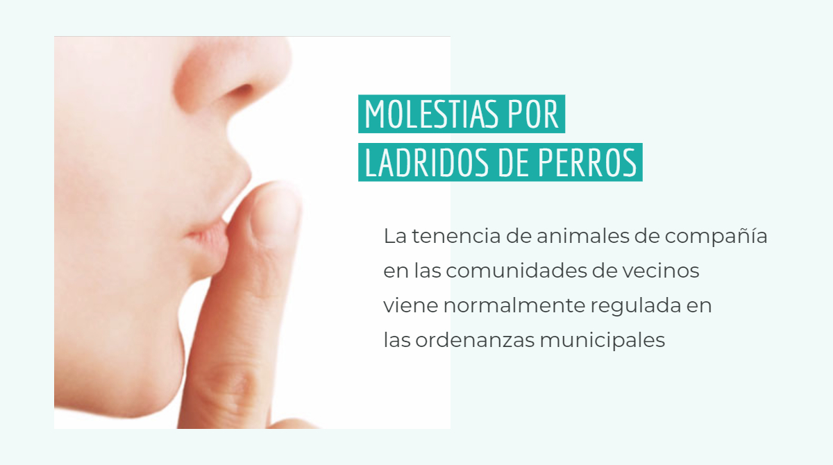 Instamos a Riba-roja a solucionar las molestias ocasionadas por los ladridos de perros en una comunidad de vecinos