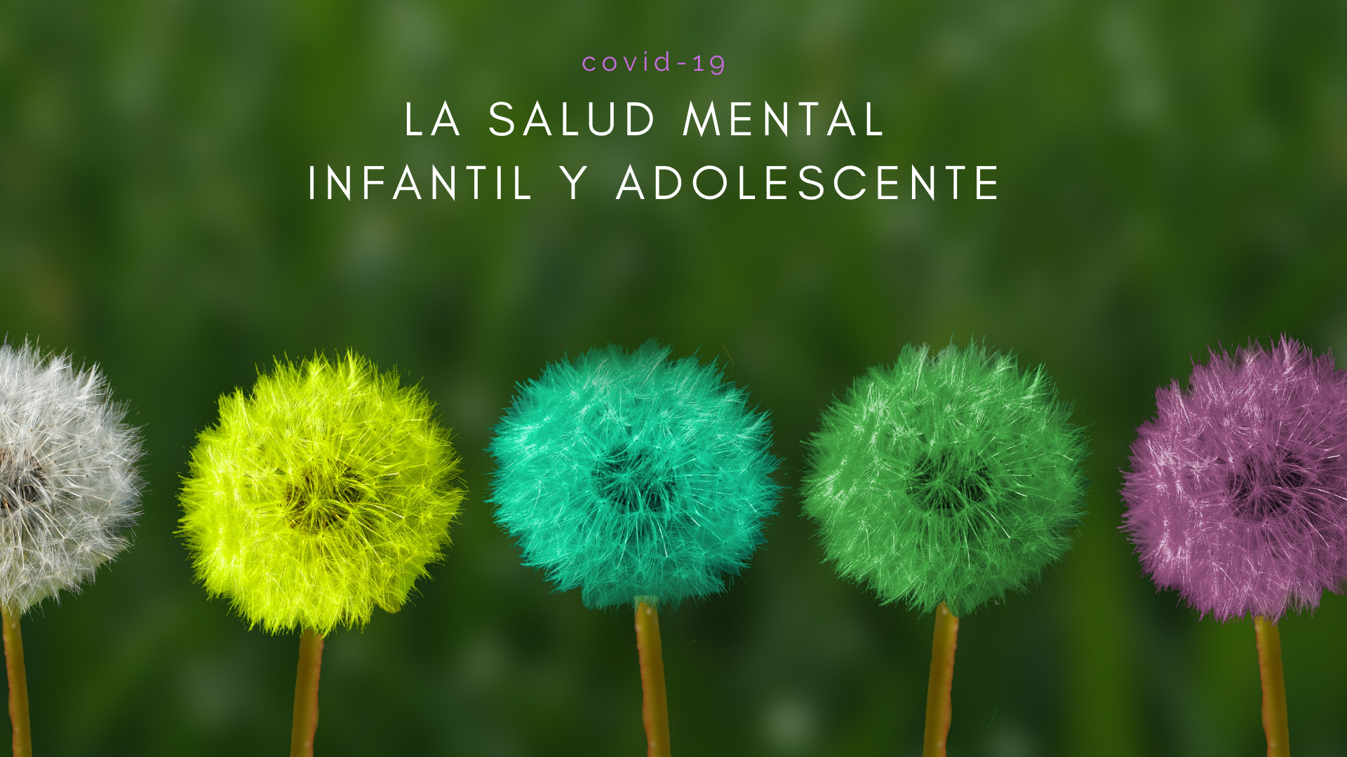 Salut mental infantil i adolescent