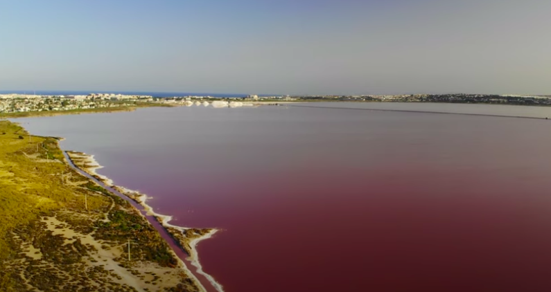 El Síndic insta l’Ajuntament de Torrevieja a netejar i senyalitzar el perímetre de la Llacuna Rosa