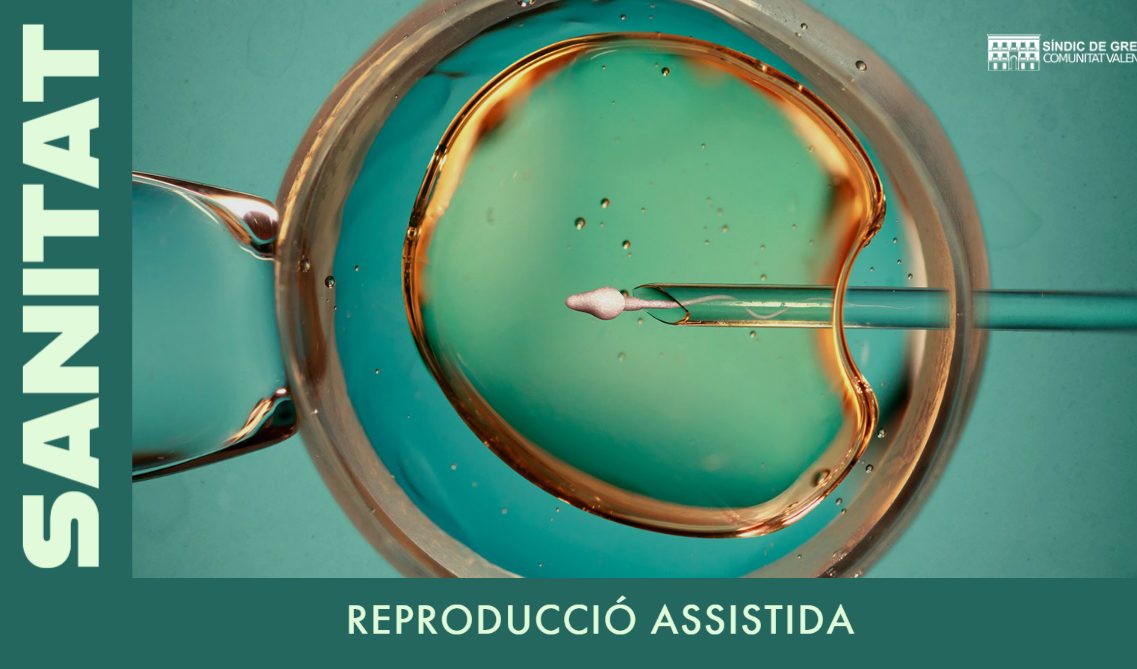 El defensor valencià investiga les llistes d’espera en els tractaments de reproducció assistida