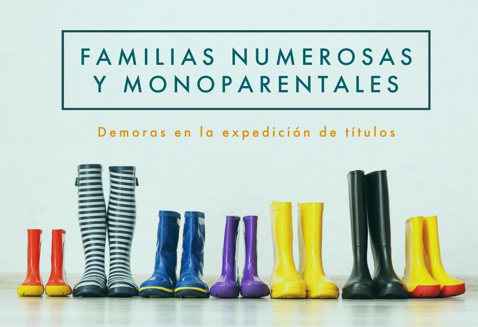 Familias numerosas y monoparentales. Demoras en la expedición de títulos