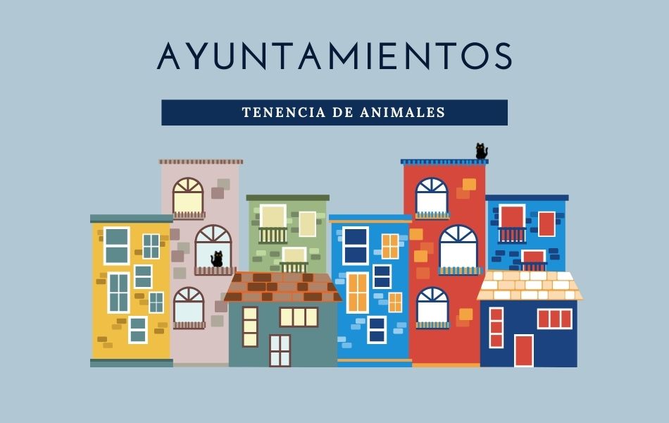 El Síndic urge al Ayuntamiento de València a resolver las molestias que generan a todo un vecindario los 40 gatos que viven en un piso