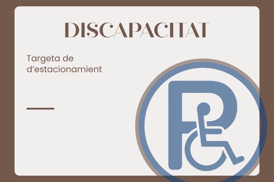 El Síndic reclama amb urgència a l’Ajuntament d’Alacant que resolga sobre una targeta d’estacionament per a un menor amb discapacitat