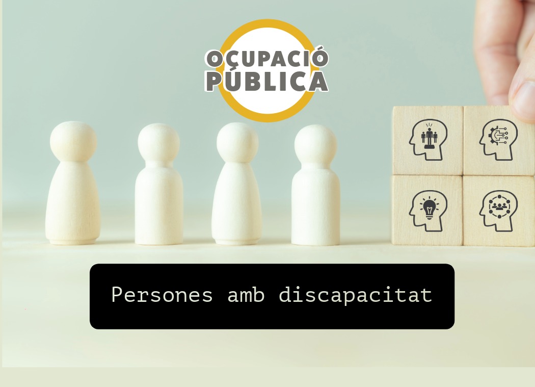 El Síndic demana recuperar les convocatòries específiques per a l’accés a l’ocupació pública de persones amb discapacitat intel·lectual